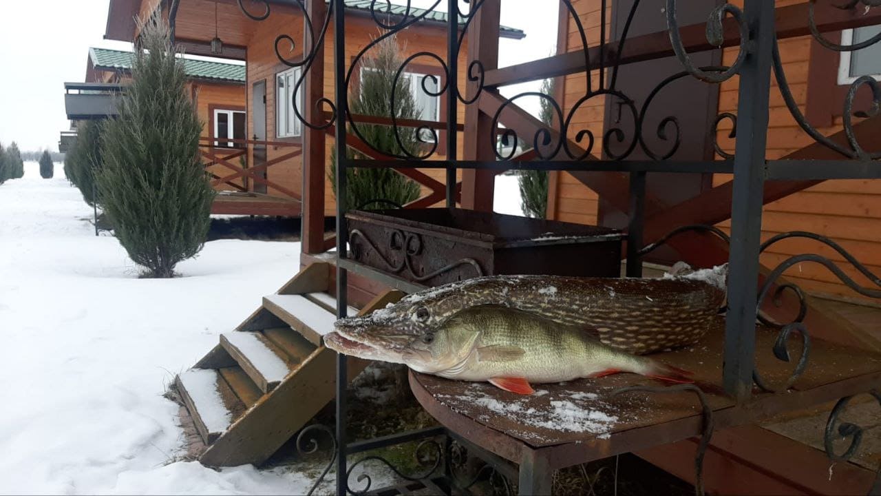 Fish place в Дмитровском районе Москвы - информация о рыболовных местах и аквариумных магазинах