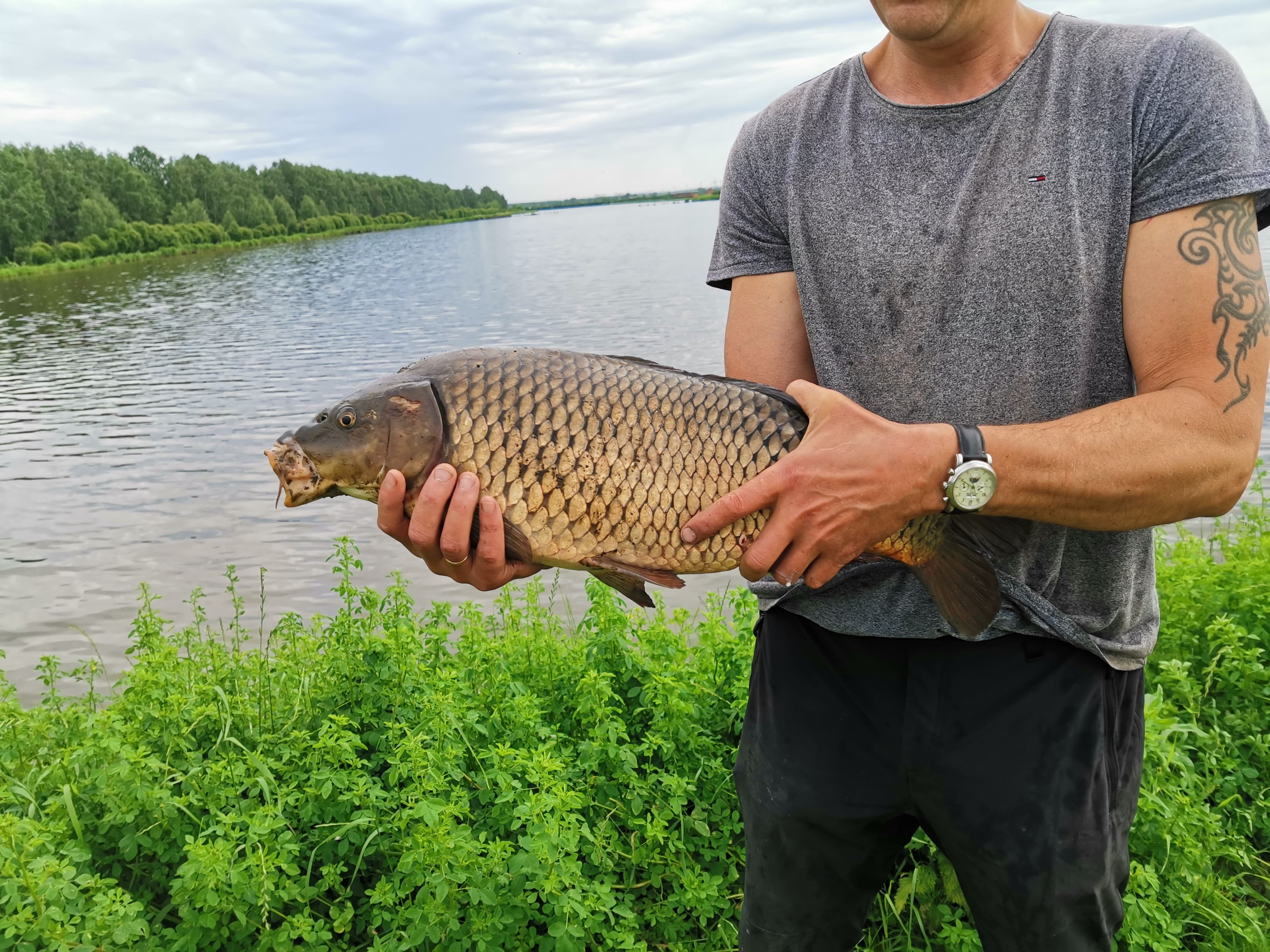 Рыбное в дмитровском районе
